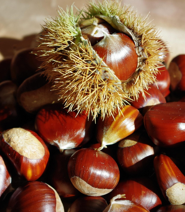 Castañas encima de la mesa